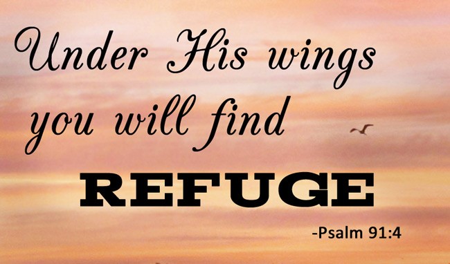 you-will-find-refuge